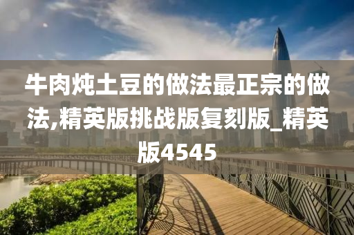 牛肉炖土豆的做法最正宗的做法,精英版挑战版复刻版_精英版4545