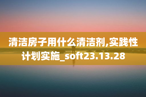 清洁房子用什么清洁剂,实践性计划实施_soft23.13.28