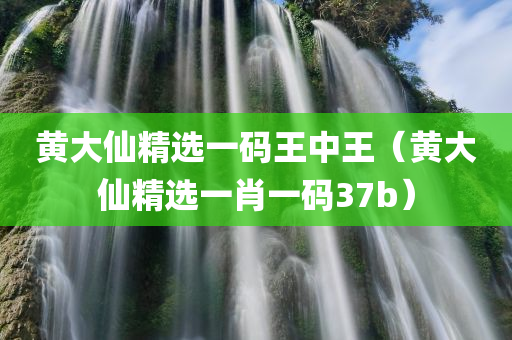 黄大仙精选一码王中王（黄大仙精选一肖一码37b）