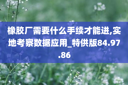 橡胶厂需要什么手续才能进,实地考察数据应用_特供版84.97.86