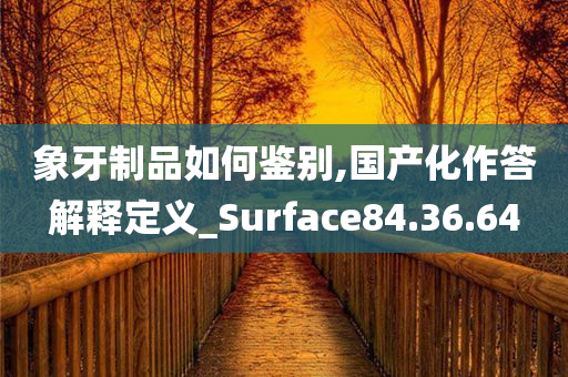 象牙制品如何鉴别,国产化作答解释定义_Surface84.36.64