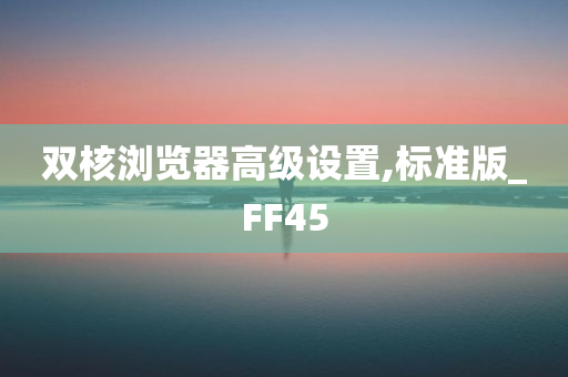 双核浏览器高级设置,标准版_FF45