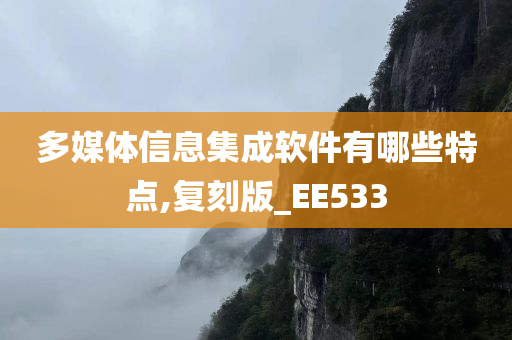 多媒体信息集成软件有哪些特点,复刻版_EE533