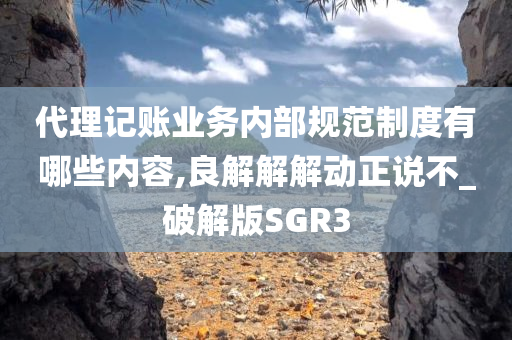 代理记账业务内部规范制度有哪些内容,良解解解动正说不_破解版SGR3