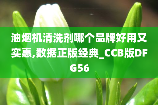 油烟机清洗剂哪个品牌好用又实惠,数据正版经典_CCB版DFG56