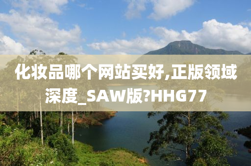 化妆品哪个网站买好,正版领域深度_SAW版?HHG77