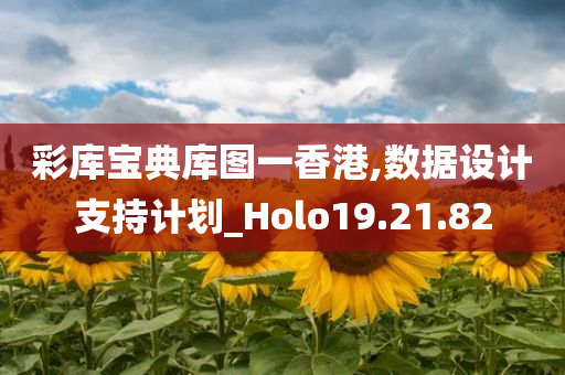 彩库宝典库图一香港,数据设计支持计划_Holo19.21.82