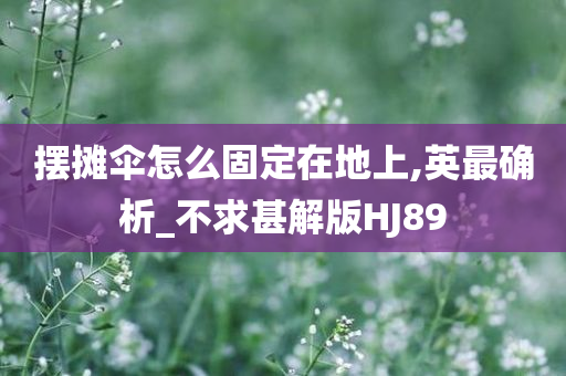 摆摊伞怎么固定在地上,英最确析_不求甚解版HJ89