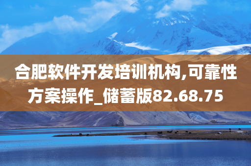 合肥软件开发培训机构,可靠性方案操作_储蓄版82.68.75