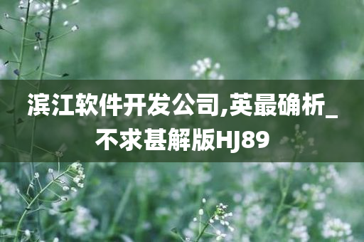 滨江软件开发公司,英最确析_不求甚解版HJ89