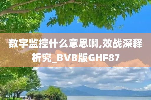 数字监控什么意思啊,效战深释析究_BVB版GHF87