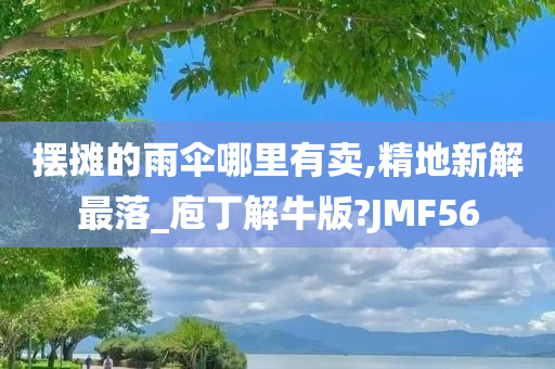 摆摊的雨伞哪里有卖,精地新解最落_庖丁解牛版?JMF56