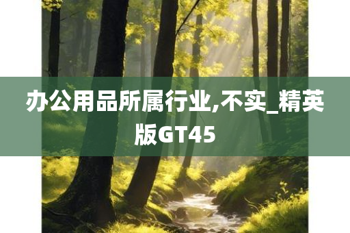 办公用品所属行业,不实_精英版GT45