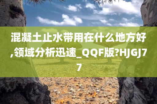 混凝土止水带用在什么地方好,领域分析迅速_QQF版?HJGJ77