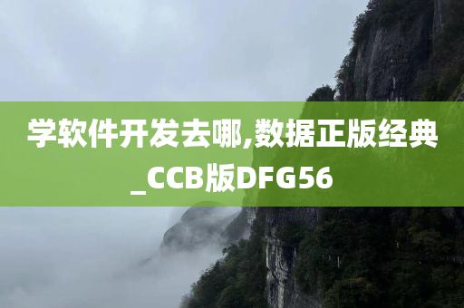 学软件开发去哪,数据正版经典_CCB版DFG56