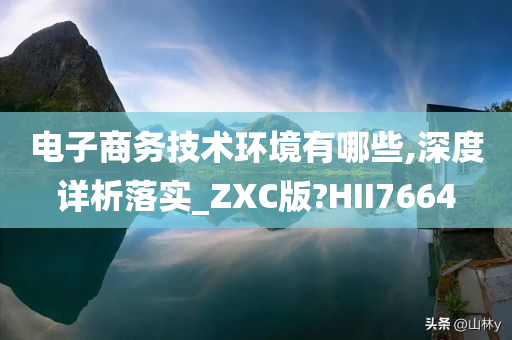 电子商务技术环境有哪些,深度详析落实_ZXC版?HII7664