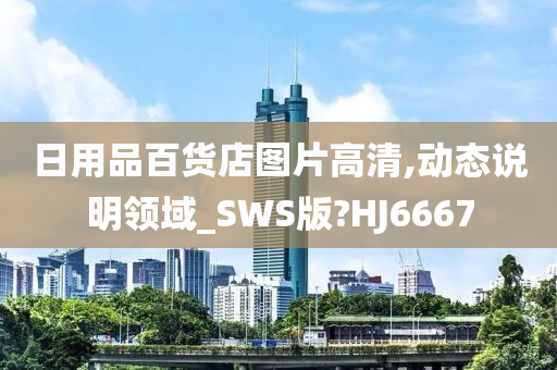 日用品百货店图片高清,动态说明领域_SWS版?HJ6667