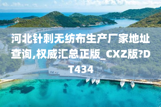 河北针刺无纺布生产厂家地址查询,权威汇总正版_CXZ版?DT434