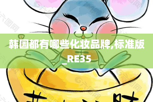 韩国都有哪些化妆品牌,标准版_RE35