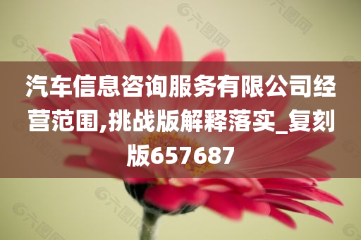 汽车信息咨询服务有限公司经营范围,挑战版解释落实_复刻版657687