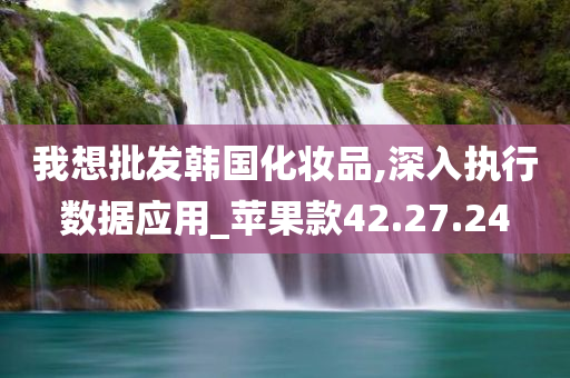 我想批发韩国化妆品,深入执行数据应用_苹果款42.27.24