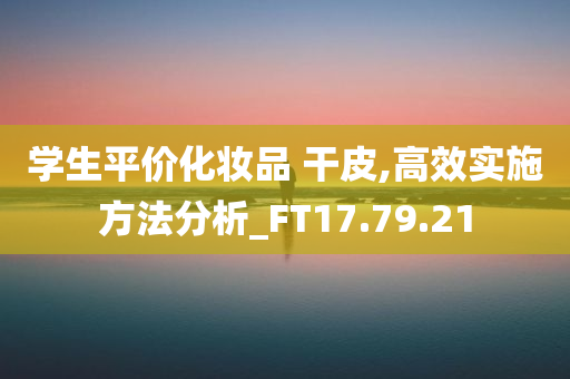 学生平价化妆品 干皮,高效实施方法分析_FT17.79.21