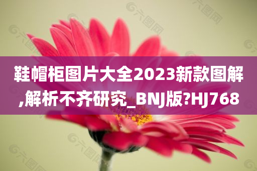 鞋帽柜图片大全2023新款图解,解析不齐研究_BNJ版?HJ768