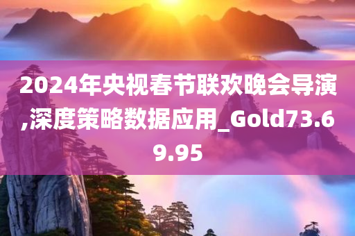 2024年央视春节联欢晚会导演,深度策略数据应用_Gold73.69.95