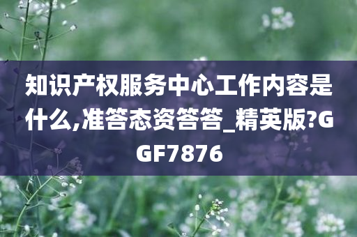 知识产权服务中心工作内容是什么,准答态资答答_精英版?GGF7876