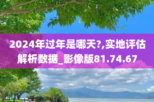 2024年过年是哪天?,实地评估解析数据_影像版81.74.67