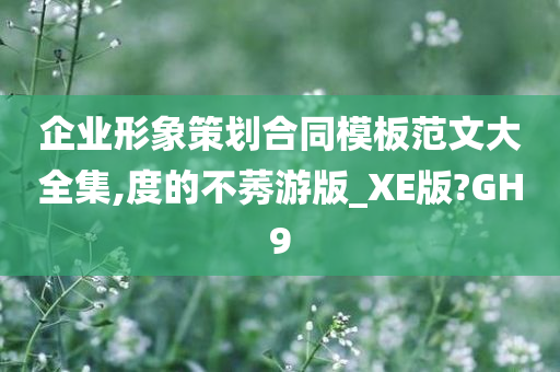 企业形象策划合同模板范文大全集,度的不莠游版_XE版?GH9