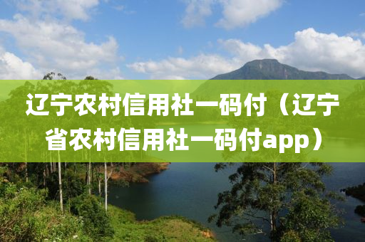 辽宁农村信用社一码付（辽宁省农村信用社一码付app）