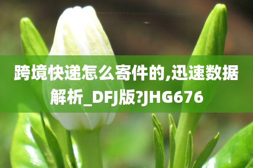 跨境快递怎么寄件的,迅速数据解析_DFJ版?JHG676