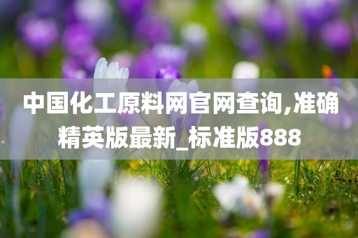 中国化工原料网官网查询,准确精英版最新_标准版888