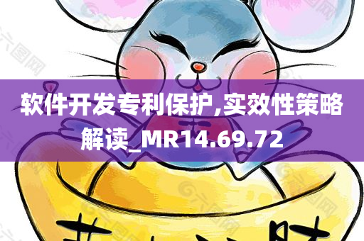 软件开发专利保护,实效性策略解读_MR14.69.72