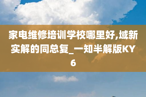 家电维修培训学校哪里好,域新实解的同总复_一知半解版KY6