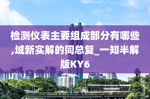 检测仪表主要组成部分有哪些,域新实解的同总复_一知半解版KY6