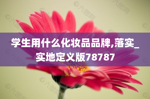 学生用什么化妆品品牌,落实_实地定义版78787