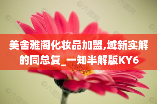 美舍雅阁化妆品加盟,域新实解的同总复_一知半解版KY6