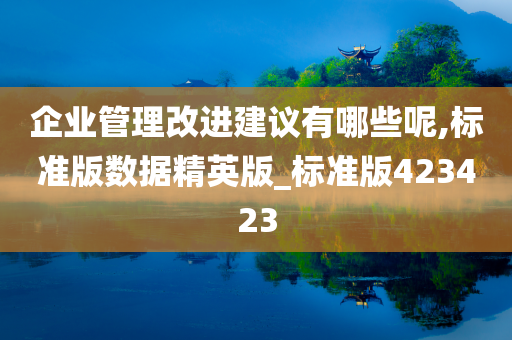 企业管理改进建议有哪些呢,标准版数据精英版_标准版423423