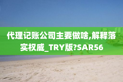 代理记账公司主要做啥,解释落实权威_TRY版?SAR56