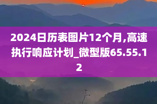 2024日历表图片12个月,高速执行响应计划_微型版65.55.12