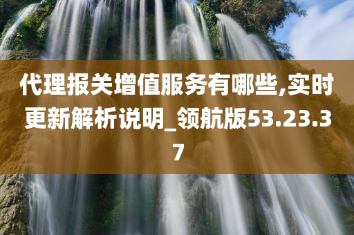 代理报关增值服务有哪些,实时更新解析说明_领航版53.23.37