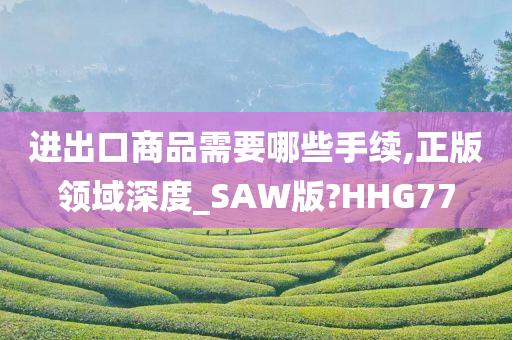 进出口商品需要哪些手续,正版领域深度_SAW版?HHG77