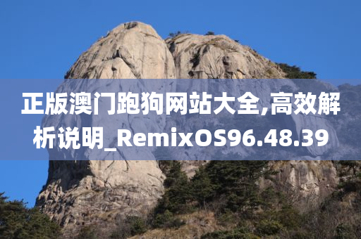 正版澳门跑狗网站大全,高效解析说明_RemixOS96.48.39