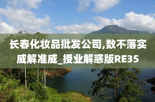 长春化妆品批发公司,数不落实威解准威_授业解惑版RE35