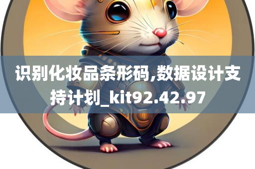 识别化妆品条形码,数据设计支持计划_kit92.42.97