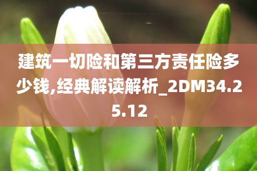 建筑一切险和第三方责任险多少钱,经典解读解析_2DM34.25.12