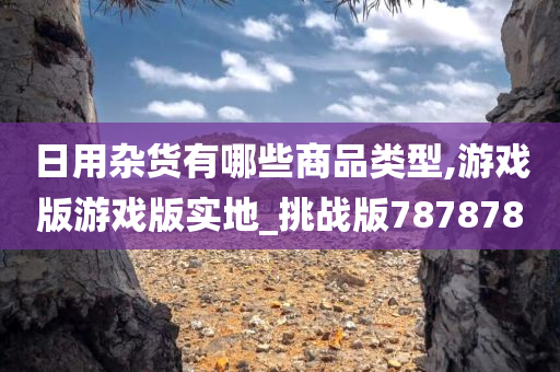 日用杂货有哪些商品类型,游戏版游戏版实地_挑战版787878