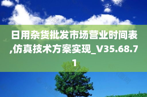 日用杂货批发市场营业时间表,仿真技术方案实现_V35.68.71